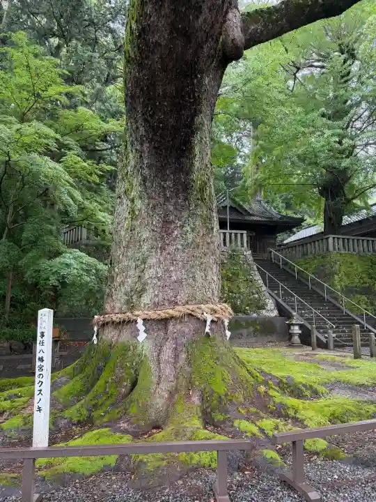 事任八幡宮(静岡県)