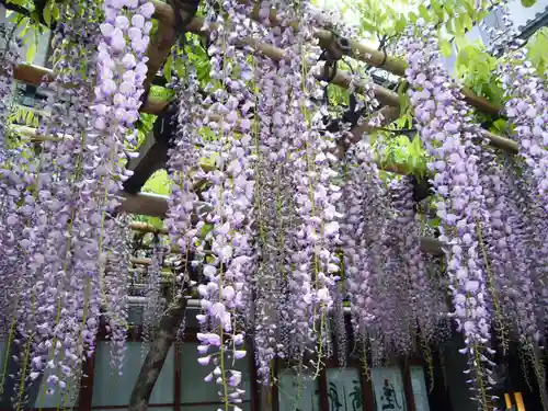 亀戸天神社の食事