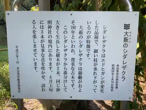 神明神社（大薮町）の自然