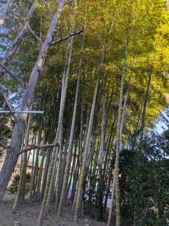 蓮光寺(東京都)