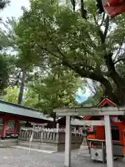 住吉大社(大阪府)