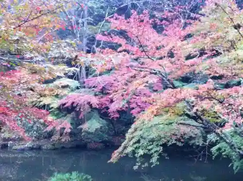 成田山新勝寺の自然