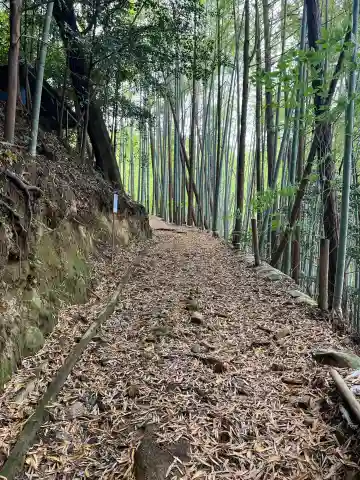 高乃宮神社の{uncategorized: "未分類", other: "その他", undefined: "問題あり", building: "その他建物", grave: "お墓", sacred_gate: "鳥居", guardian: "狛犬", statue: "像", buddha: "仏像", history: "歴史", nature: "自然", garden: "庭園", animal: "動物", pagoda: "塔", temizu: "手水舎", mountain_gate: "山門・神門", sanctuary: "本殿・本堂", subordinate: "末社・摂社", art: "芸術", scenery: "景色", jizo: "地蔵", ema: "絵馬", goshuin: "御朱印", omikuji: "おみくじ", items: "授与品その他", amulet: "お守り", goshuincho: "御朱印帳", eats: "食事", festival: "お祭り", votive_dance: "神楽", shichigosan: "七五三参", wedding: "結婚式", experience: "体験その他", initially: "初詣", around: "周辺", anti_infection: "感染症対策"}