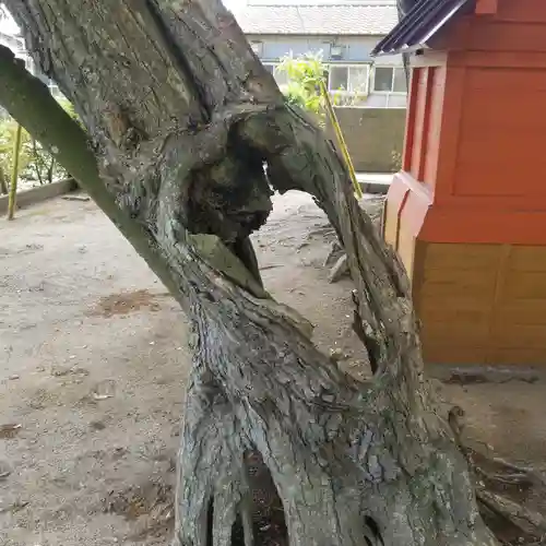 道路衢神の自然