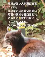 専念寺(大阪府)