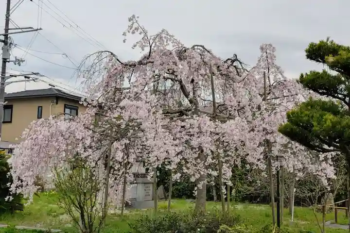橋寺 放生院(京都府)