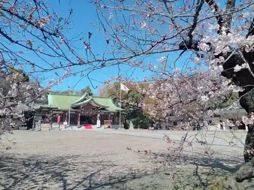 大阪護國神社の自然
