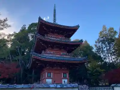 井山 宝福寺(岡山県)