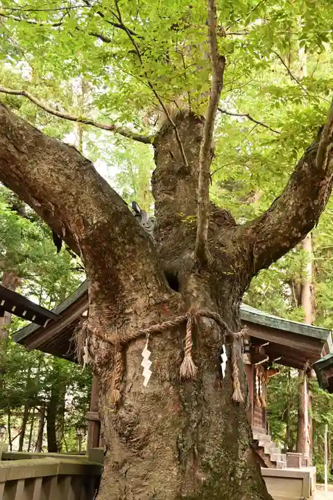 穂高神社本宮(長野県)