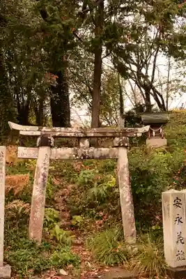 辰岡天満宮(愛媛県)