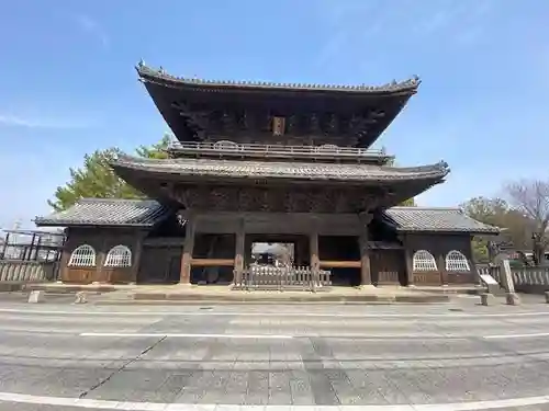 大樹寺（松安院大樹寺）の山門