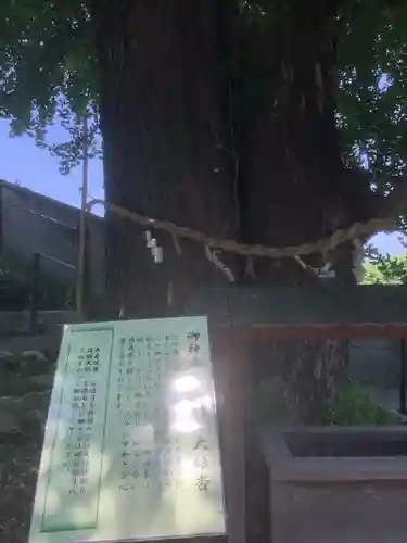 堤治神社の自然