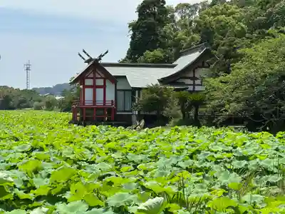 水沼神社(宮崎県)