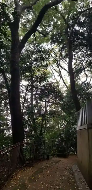 浅間神社(千葉県)