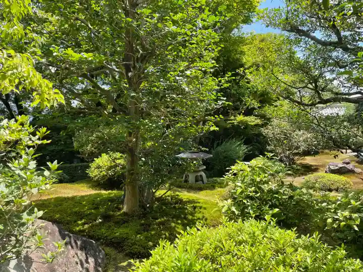 華厳寺(鈴虫寺)(京都府)