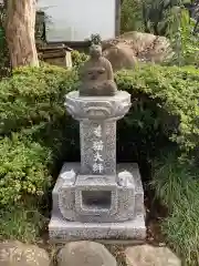 円泉寺の建物その他