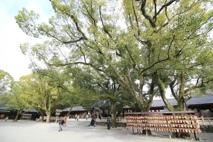 熱田神宮の自然