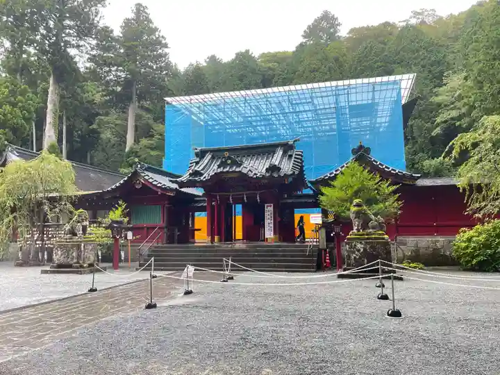 箱根神社の御朱印