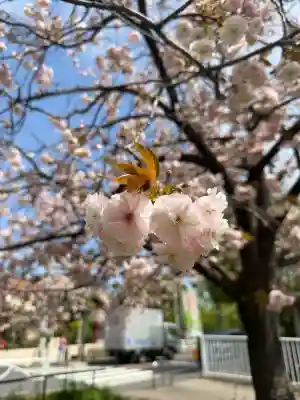 菊名池弁財天の{uncategorized: "未分類", other: "その他", undefined: "問題あり", building: "その他建物", grave: "お墓", sacred_gate: "鳥居", guardian: "狛犬", statue: "像", buddha: "仏像", history: "歴史", nature: "自然", garden: "庭園", animal: "動物", pagoda: "塔", temizu: "手水舎", mountain_gate: "山門・神門", sanctuary: "本殿・本堂", subordinate: "末社・摂社", art: "芸術", scenery: "景色", jizo: "地蔵", ema: "絵馬", goshuin: "御朱印", omikuji: "おみくじ", items: "授与品その他", amulet: "お守り", goshuincho: "御朱印帳", eats: "食事", festival: "お祭り", votive_dance: "神楽", shichigosan: "七五三参", wedding: "結婚式", experience: "体験その他", initially: "初詣", around: "周辺", anti_infection: "感染症対策"}