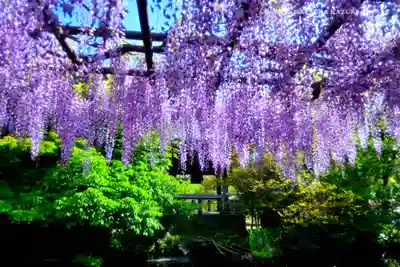 西新井大師総持寺(東京都)