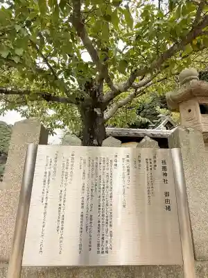 祇園神社(兵庫県)