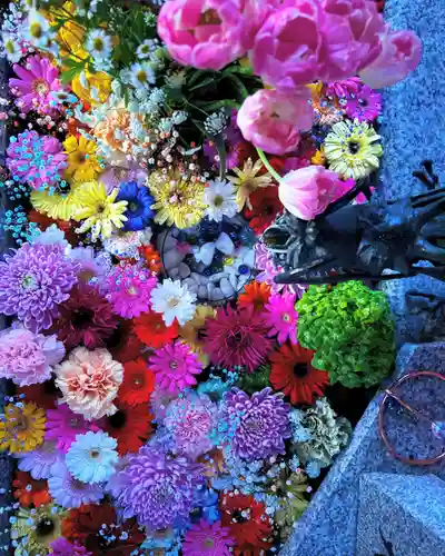 札幌諏訪神社の手水