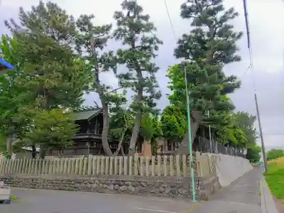 神明社(新茶屋)の自然
