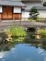 誉田八幡宮(大阪府)