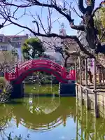 亀戸天神社(東京都)
