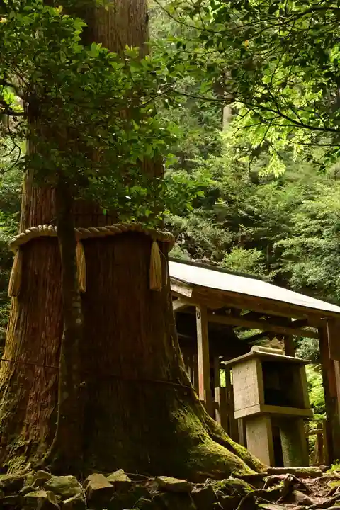 鞍馬寺(京都府)