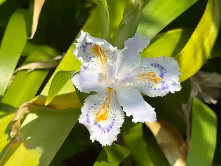 西方山極楽寺(岐阜県)