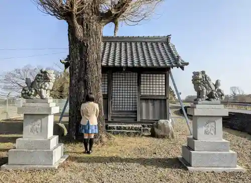 神明神社 (字小坪)の本殿