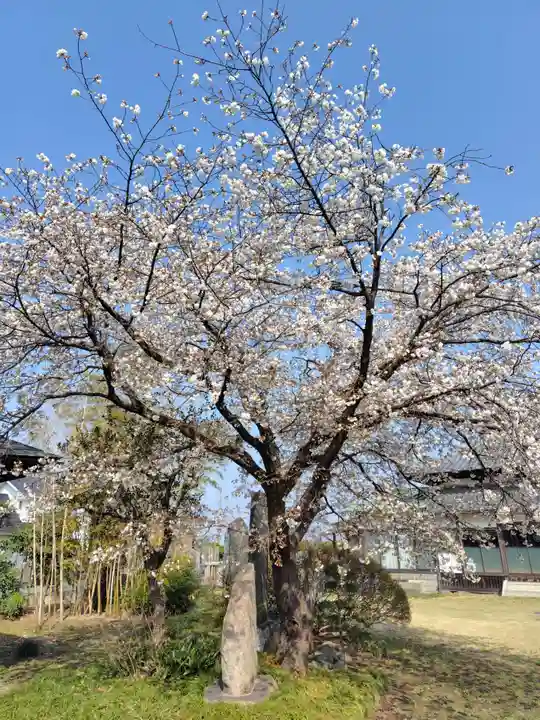 寶光寺(埼玉県)