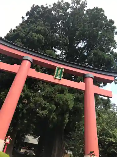 河口浅間神社の鳥居