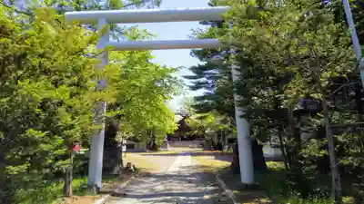 神楽神社の鳥居