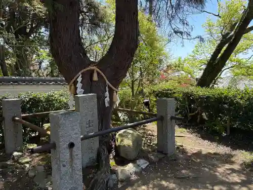 聖天宮 西江寺(大阪府)