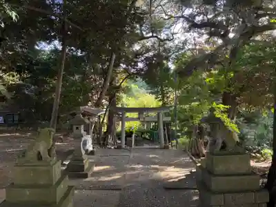 天津神社(千葉県)