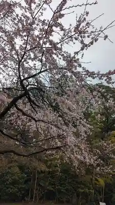 正法寺(京都府)