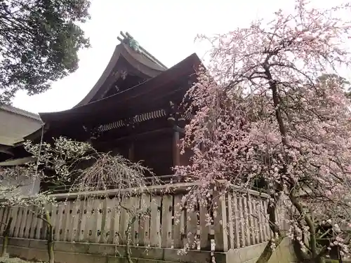 道明寺天満宮の本殿