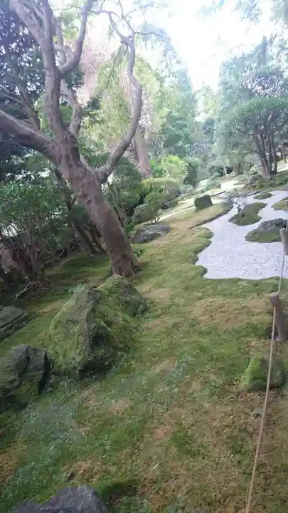 報国寺の庭園