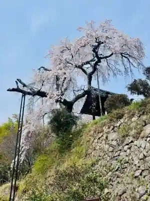 地蔵院の{uncategorized: "未分類", other: "その他", undefined: "問題あり", building: "その他建物", grave: "お墓", sacred_gate: "鳥居", guardian: "狛犬", statue: "像", buddha: "仏像", history: "歴史", nature: "自然", garden: "庭園", animal: "動物", pagoda: "塔", temizu: "手水舎", mountain_gate: "山門・神門", sanctuary: "本殿・本堂", subordinate: "末社・摂社", art: "芸術", scenery: "景色", jizo: "地蔵", ema: "絵馬", goshuin: "御朱印", omikuji: "おみくじ", items: "授与品その他", amulet: "お守り", goshuincho: "御朱印帳", eats: "食事", festival: "お祭り", votive_dance: "神楽", shichigosan: "七五三参", wedding: "結婚式", experience: "体験その他", initially: "初詣", around: "周辺", anti_infection: "感染症対策"}