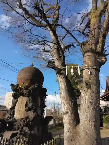 八幡橋八幡神社(神奈川県)