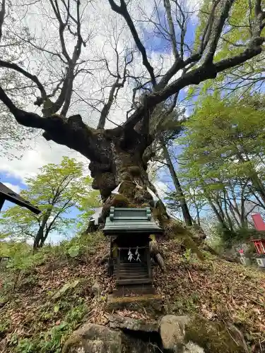熊野皇大神社の{uncategorized: "未分類", other: "その他", undefined: "問題あり", building: "その他建物", grave: "お墓", sacred_gate: "鳥居", guardian: "狛犬", statue: "像", buddha: "仏像", history: "歴史", nature: "自然", garden: "庭園", animal: "動物", pagoda: "塔", temizu: "手水舎", mountain_gate: "山門・神門", sanctuary: "本殿・本堂", subordinate: "末社・摂社", art: "芸術", scenery: "景色", jizo: "地蔵", ema: "絵馬", goshuin: "御朱印", omikuji: "おみくじ", items: "授与品その他", amulet: "お守り", goshuincho: "御朱印帳", eats: "食事", festival: "お祭り", votive_dance: "神楽", shichigosan: "七五三参", wedding: "結婚式", experience: "体験その他", initially: "初詣", around: "周辺", anti_infection: "感染症対策"}