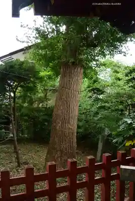 由比若宮（元鶴岡八幡宮）(神奈川県)