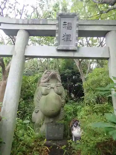 常泉寺(神奈川県)