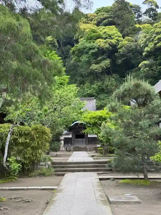 円覚寺の{uncategorized: "未分類", other: "その他", undefined: "問題あり", building: "その他建物", grave: "お墓", sacred_gate: "鳥居", guardian: "狛犬", statue: "像", buddha: "仏像", history: "歴史", nature: "自然", garden: "庭園", animal: "動物", pagoda: "塔", temizu: "手水舎", mountain_gate: "山門・神門", sanctuary: "本殿・本堂", subordinate: "末社・摂社", art: "芸術", scenery: "景色", jizo: "地蔵", ema: "絵馬", goshuin: "御朱印", omikuji: "おみくじ", items: "授与品その他", amulet: "お守り", goshuincho: "御朱印帳", eats: "食事", festival: "お祭り", votive_dance: "神楽", shichigosan: "七五三参", wedding: "結婚式", experience: "体験その他", initially: "初詣", around: "周辺", anti_infection: "感染症対策"}