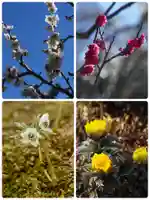 浄妙寺(神奈川県)