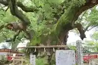 宇美八幡宮(福岡県)