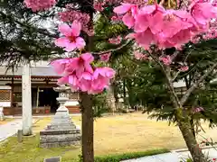 和貴宮神社(京都府)