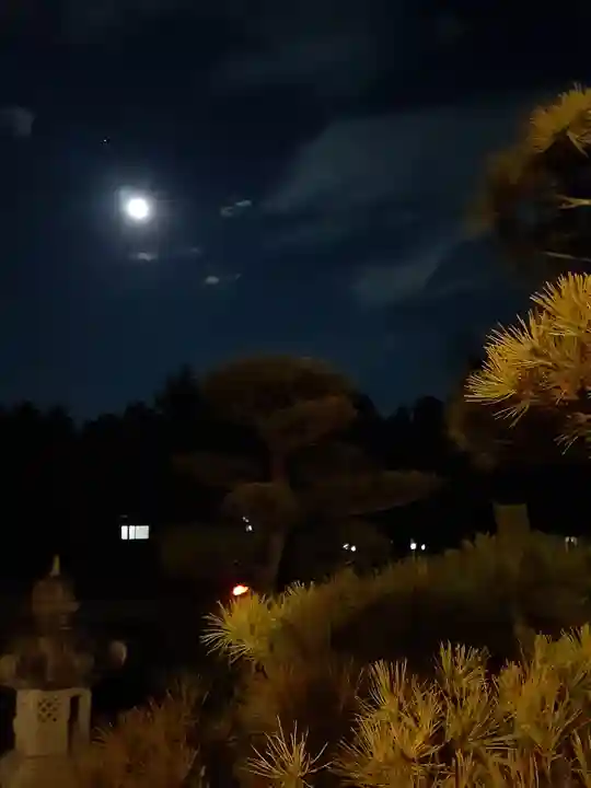 伏木香取神社の自然